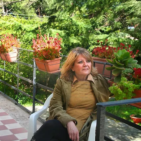 Pallante Panzió *